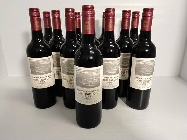 Lot 82 - MOUNT PLEASANT SHIRAZ