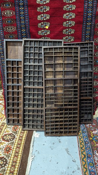 Lot 8 - PRINTERS TRAYS