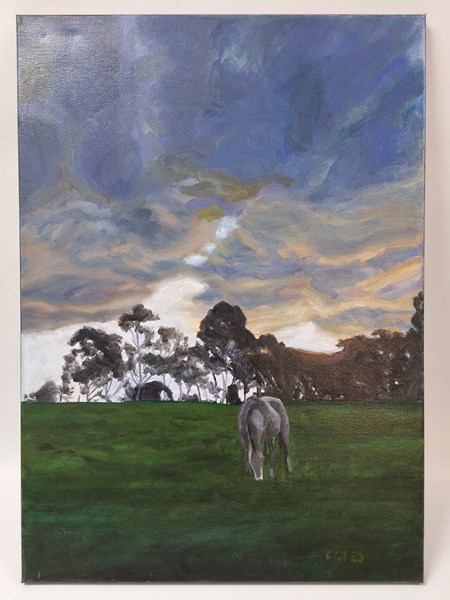 Lot 1132 - MERVYN COLES (AUSTRALIA)