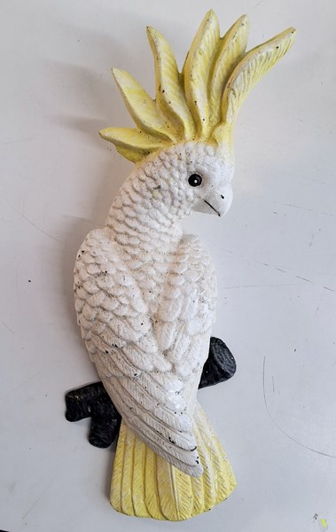 Lot 1173 - WALL COCKATOO