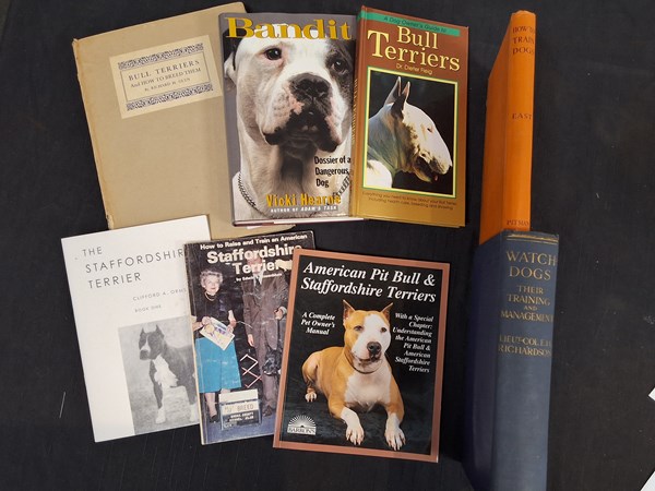 Lot 1426 - PIT BULL TERRIERS