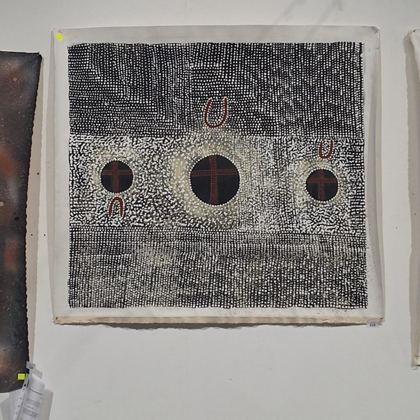 Lot 335 - AJ NAPANGARDI