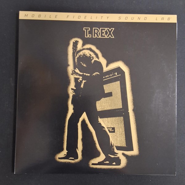 Lot 1195 - T-REX VINYL RECORD