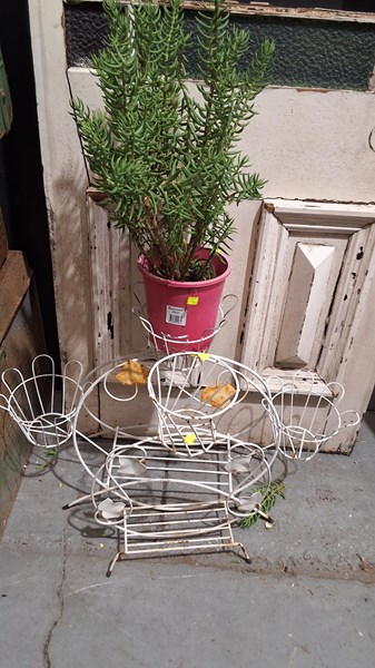 Lot 417 - PLANTERS