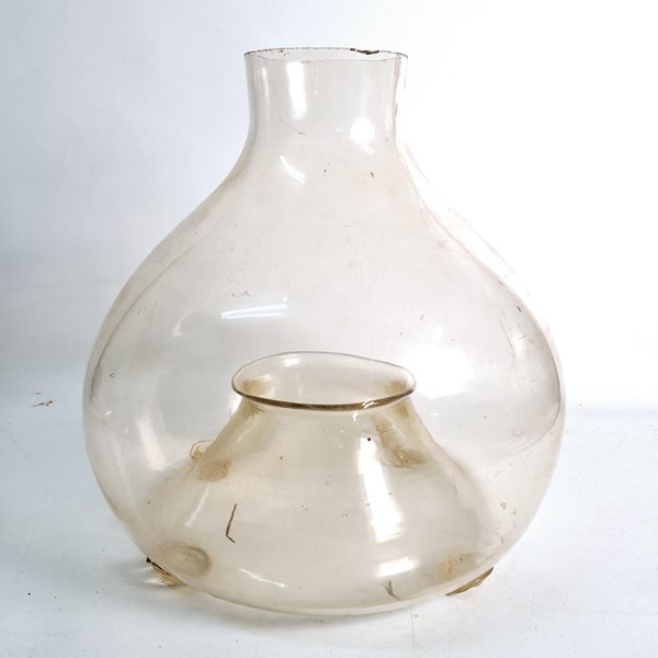 Lot 1138 - FLY TRAP