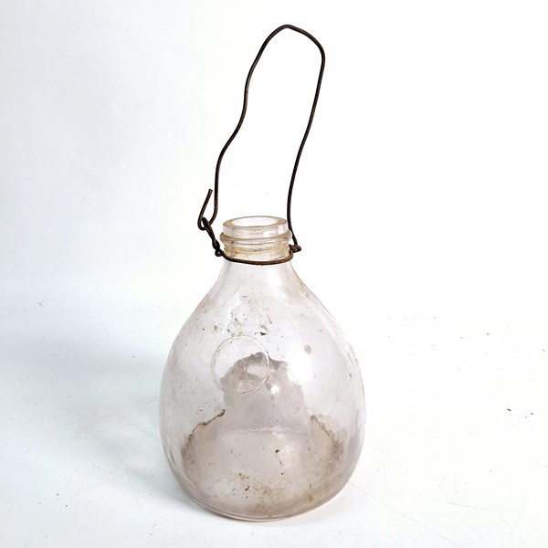 Lot 1209 - FLY TRAP