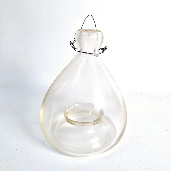 Lot 1189 - FLY TRAP