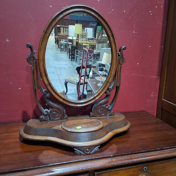 Lot 97 - TOILET MIRROR
