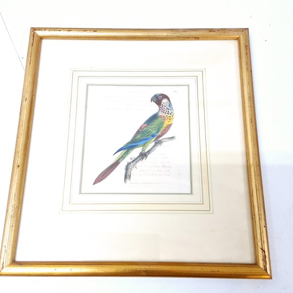 Lot 1086 - RICHARD NODDER