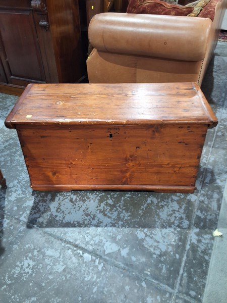 Lot 145 - PINE TRUNK