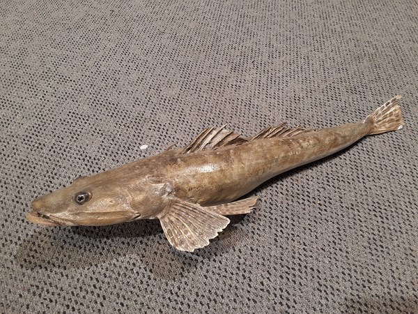 Lot 13 - FISH ORNAMENT