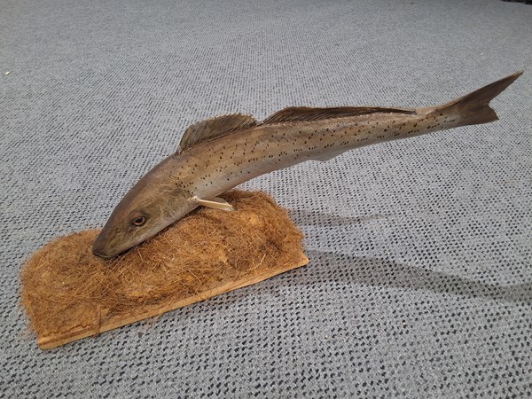Lot 25 - FISH ORNAMENT