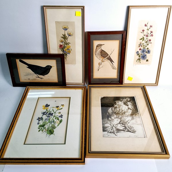 Lot 1411 - PRINTS OF BIRDS & FLOWERS