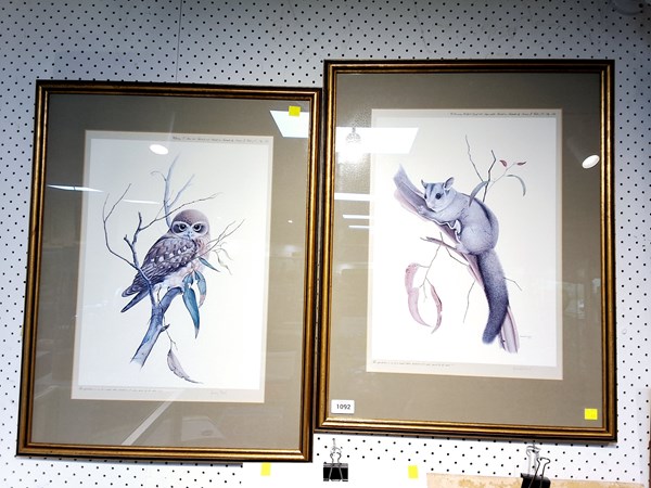 Lot 386 - AUSTRALIAN WILDLIFE PRINTS