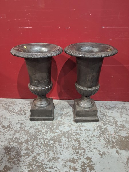 Lot 379 - URNS