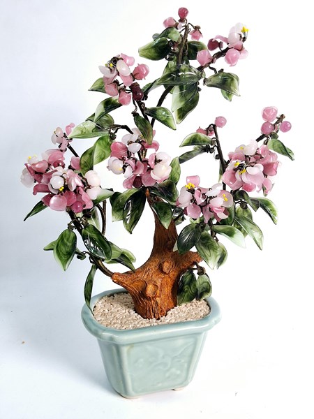 Lot 1396 - JADE TREE