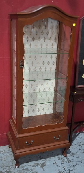 Lot 224 - DISPLAY CASE
