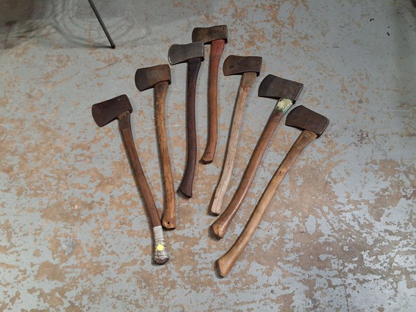 Lot 236 - AXE LOT