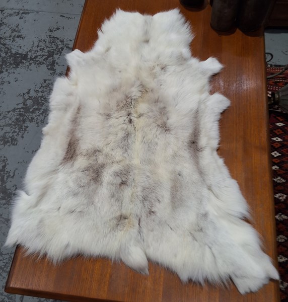 Lot 15 - REINDEER PELT