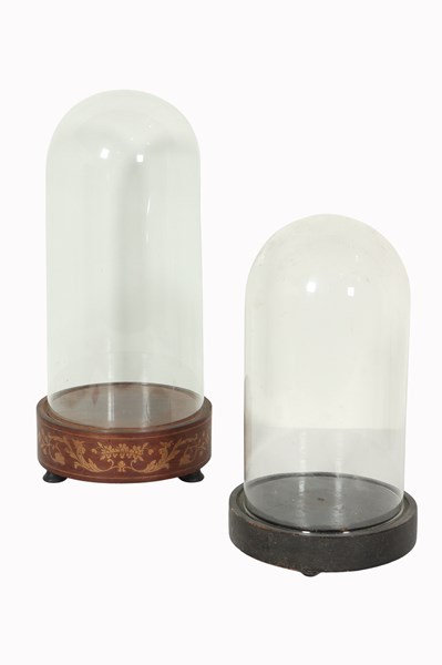 Lot 160 - TWO GLASS DISPLAY DOMES