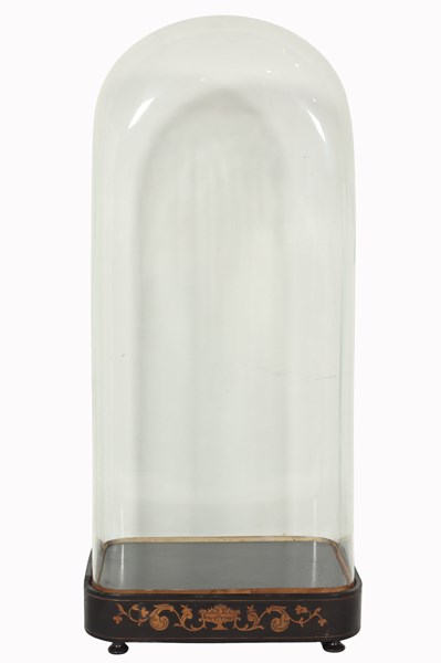 Lot 43 - GLASS DISPLAY DOME