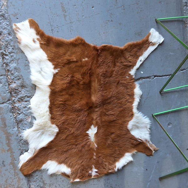Lot 39 - COWHIDE