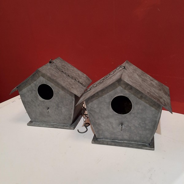 Lot 174 - STEEL BIRD HIDES