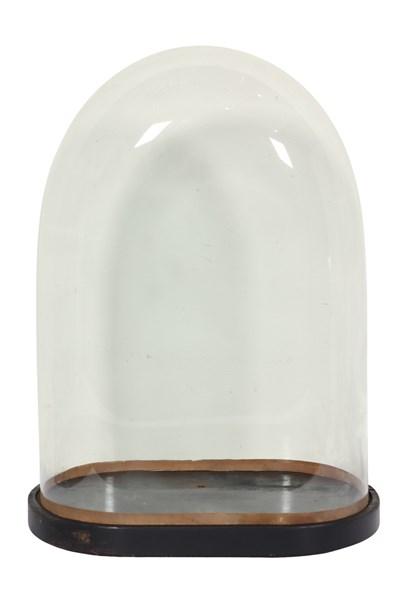 Lot 78 - GLASS DISPLAY DOME