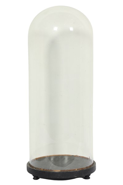 Lot 5 - GLASS DISPLAY DOME