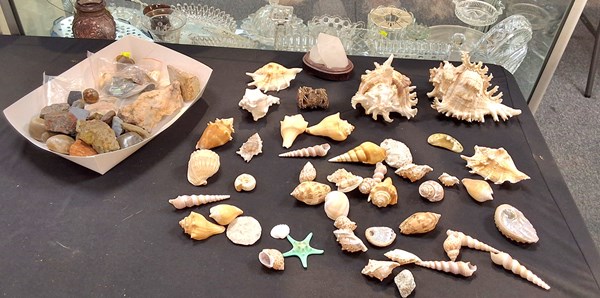 Lot 1430 - ROCK, MINERAL & SHELL SPECIMENS