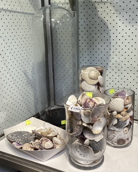 Lot 1404 - SHELL DECOR & CLOCHE