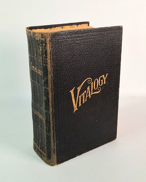 Lot 1483 - VITALOGY