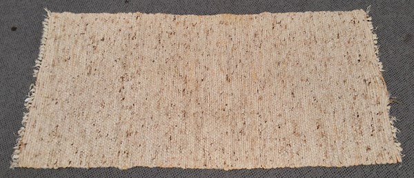Lot 144 - ENTRANCE RUG