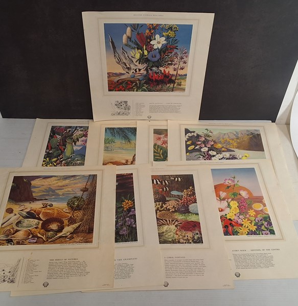 Lot 1307 - SHELL PRINTS