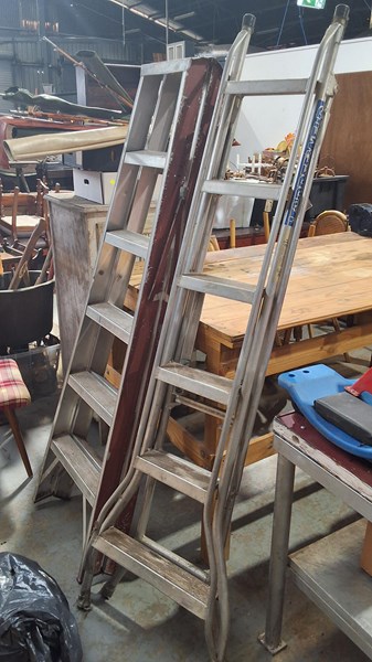 Lot 251 - LADDERS