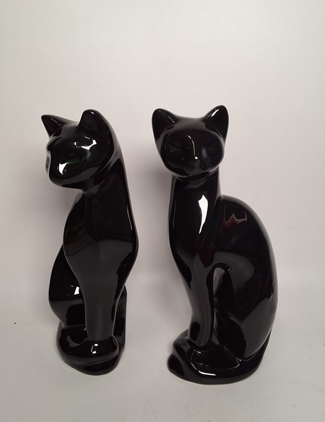 Lot 1407 - BLACK CATS