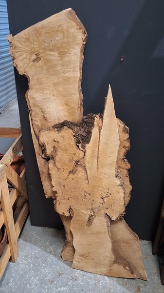 Lot 490 - TIMBER STOCK