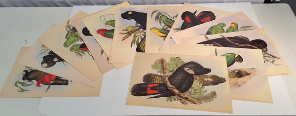 Lot 1355 - JOHN GOULD