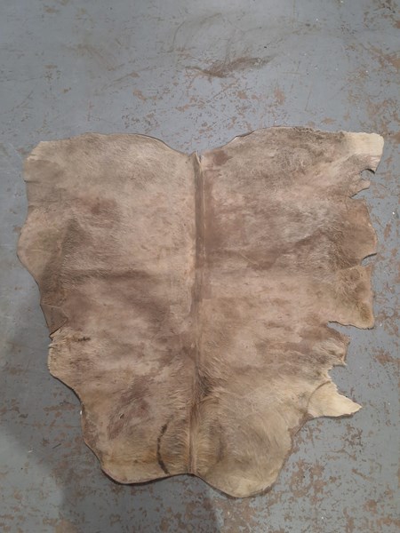 Lot 312 - COWHIDE